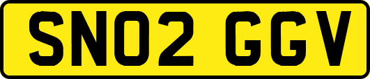 SN02GGV