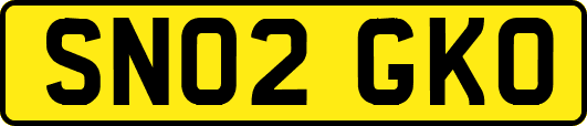 SN02GKO