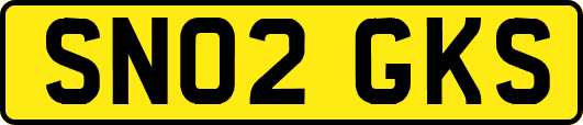 SN02GKS