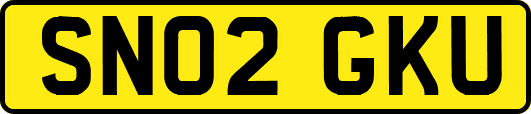 SN02GKU