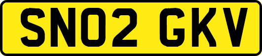 SN02GKV