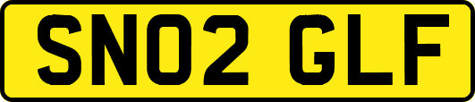 SN02GLF
