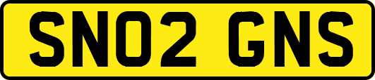 SN02GNS