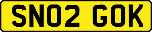 SN02GOK