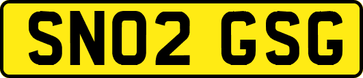 SN02GSG