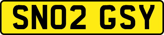 SN02GSY