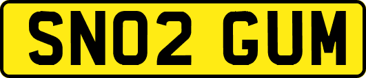SN02GUM