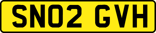 SN02GVH