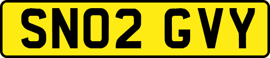 SN02GVY