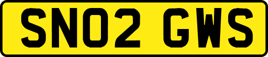 SN02GWS