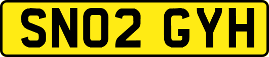 SN02GYH