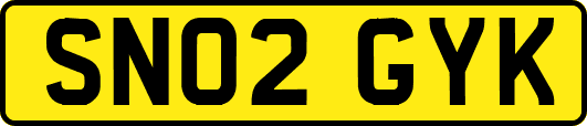 SN02GYK