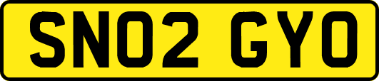 SN02GYO