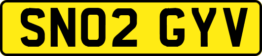 SN02GYV