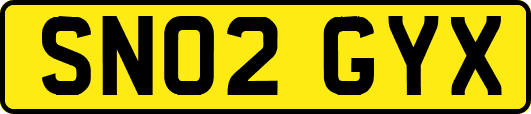 SN02GYX