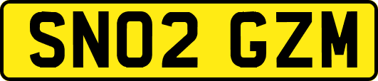 SN02GZM