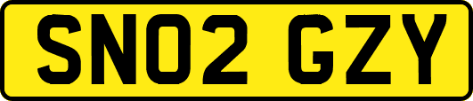 SN02GZY
