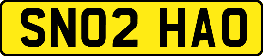 SN02HAO