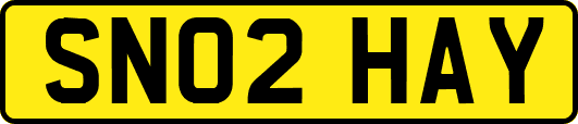 SN02HAY