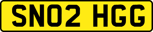 SN02HGG
