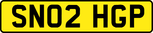 SN02HGP
