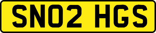SN02HGS