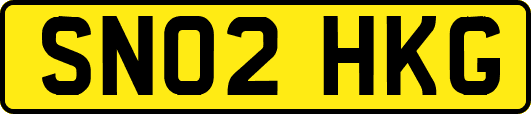 SN02HKG