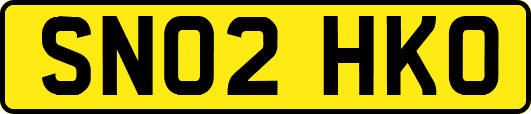 SN02HKO