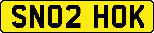 SN02HOK