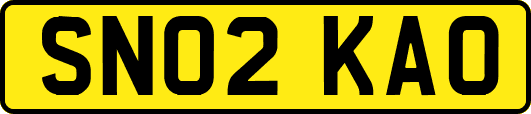 SN02KAO