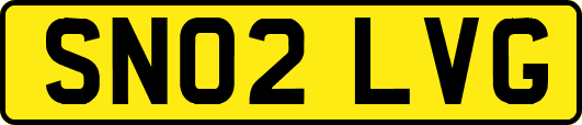 SN02LVG