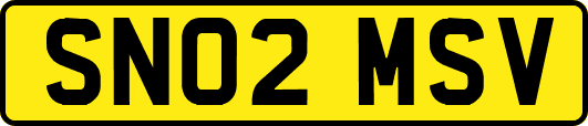SN02MSV