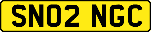 SN02NGC