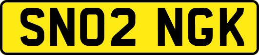 SN02NGK