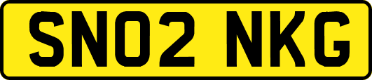 SN02NKG
