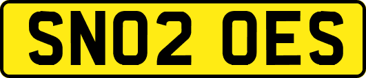 SN02OES