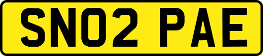 SN02PAE