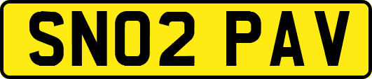 SN02PAV