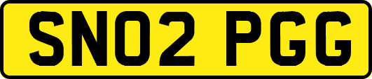 SN02PGG