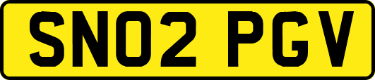 SN02PGV