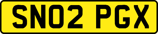 SN02PGX