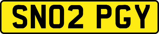 SN02PGY