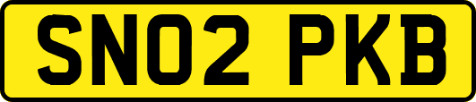 SN02PKB