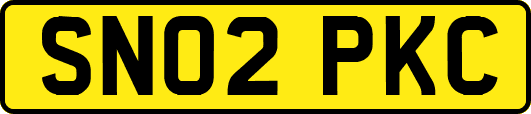 SN02PKC