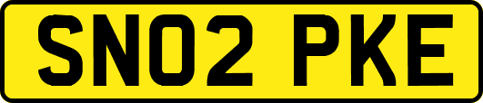 SN02PKE