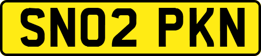 SN02PKN