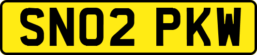 SN02PKW
