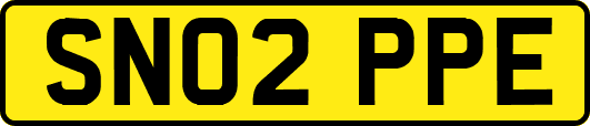 SN02PPE