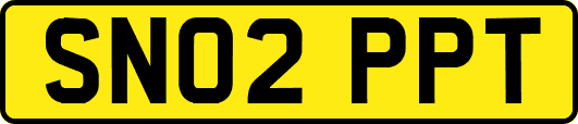 SN02PPT