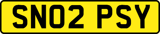 SN02PSY